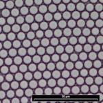 Suspension monodisperse Silice (choix : 0,16-8 microns)