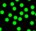 Suspension monodisperse M�lamine Fluo (choix : 0,3-13 microns)