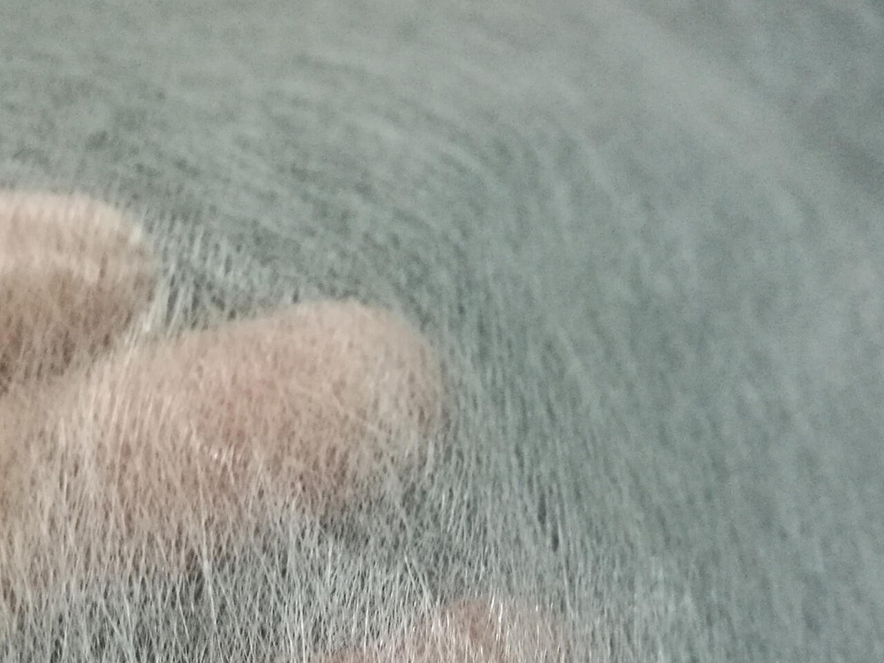 Mano ligeramente borrosa detrás de un tejido de fibra de vidrio